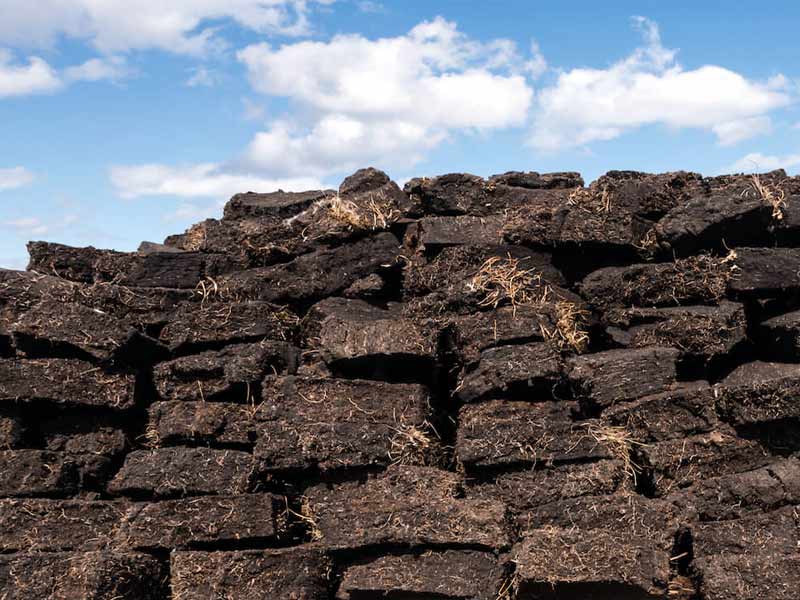 Giá than bùn 2026 có nhiều biến động khó lường