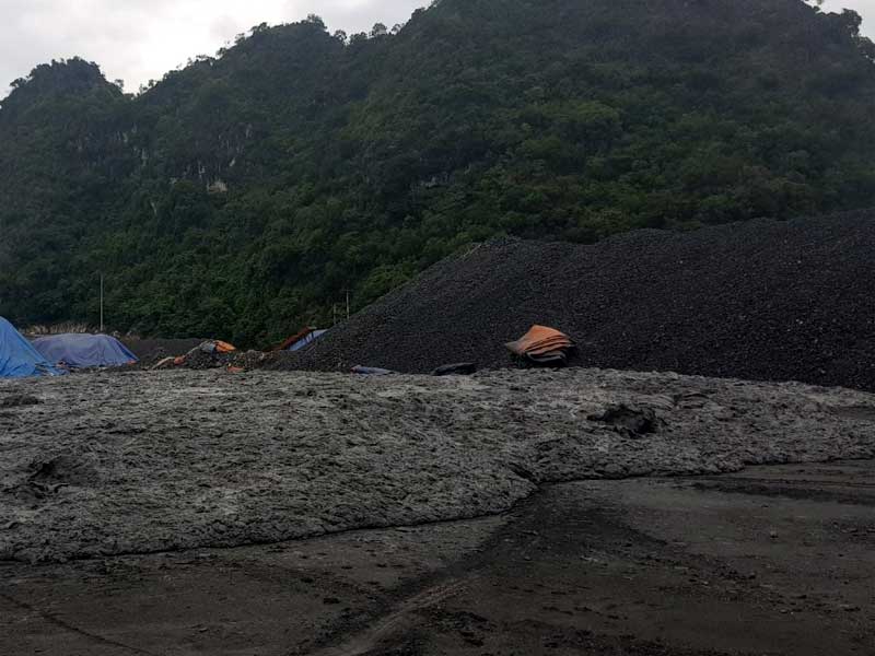 Ảnh minh hoạ về bãi than bùn