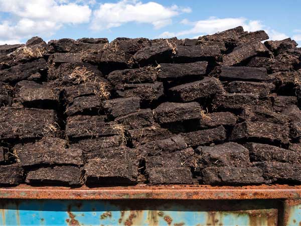 Than bùn có nhiều ứng dụng trong đời sống